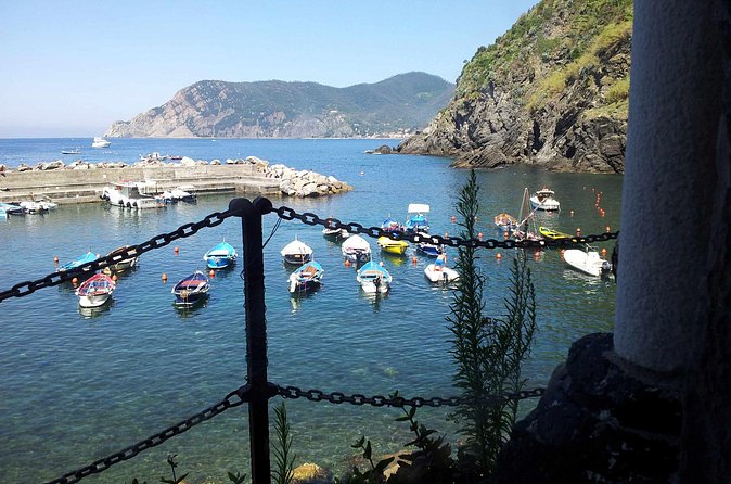 Cinque Terre Private Tour by Minivan and Ferry-Boat Shore excursion from Livorno - Boat vs Train: Weather Decides the Scenic Part