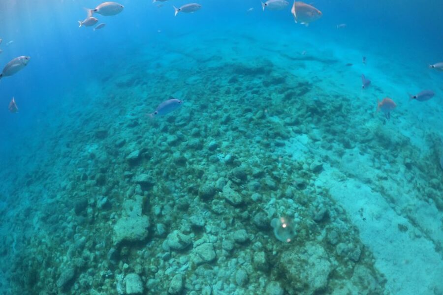 Corralejo: Snorkeling on Lobos Island & Return Ferry Ticket - La Caldera Volcano Walk: The View That Justifies the Effort