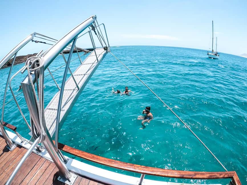 Corralejo: Snorkeling on Lobos Island & Return Ferry Ticket - Getting Oriented at Naviera Nortour (Corralejo)