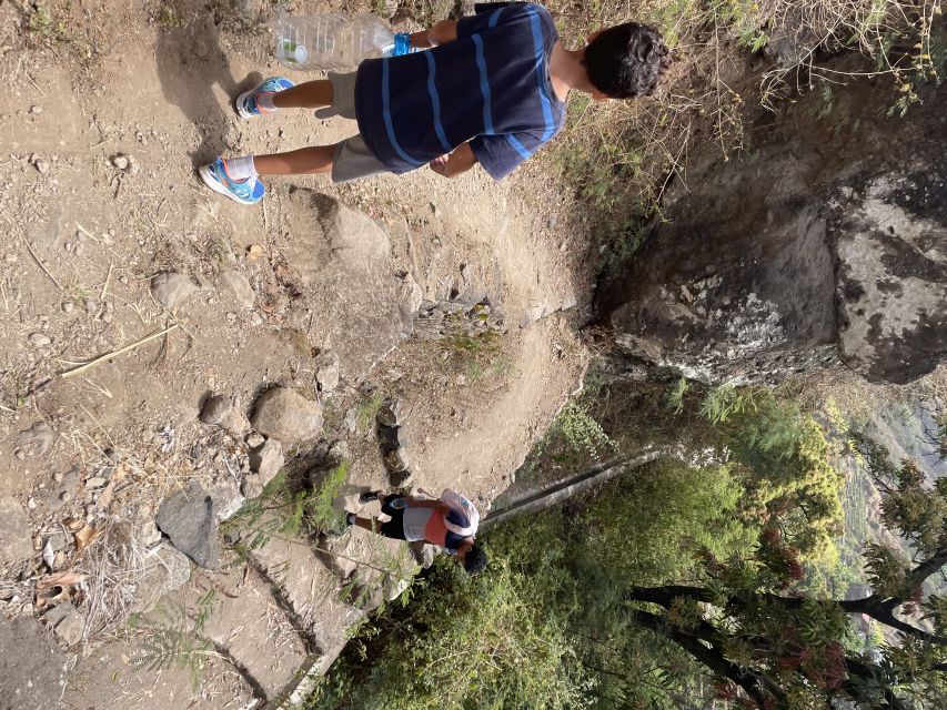 Cova–Paúl Valley Trek: Santo Antão Day Trip by Ferry - Grogue distillery visit: a short stop that explains rum, not just sells it