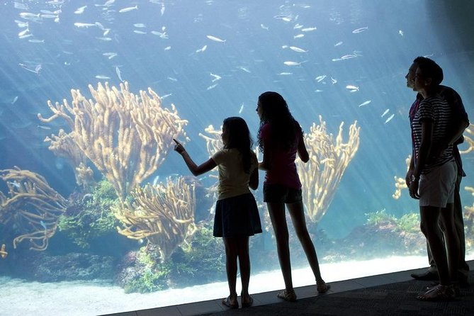 Crystal Caves, Aquarium, City of Hamilton and Ferry - Crystal Caves: the walk, the steps, and what to watch for