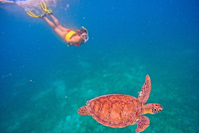 Culebra Swim with Turtles Adventure and Flamenco Beach by Ferry - Flamenco Beach Time: Rest, Walk, Swim, and Lunch on Your Terms