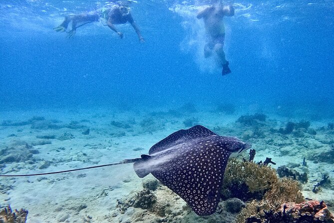 Culebra Swim with Turtles Adventure and Flamenco Beach by Ferry - Your Day’s Flow: Expect Waiting, Then Enjoy the Payoff