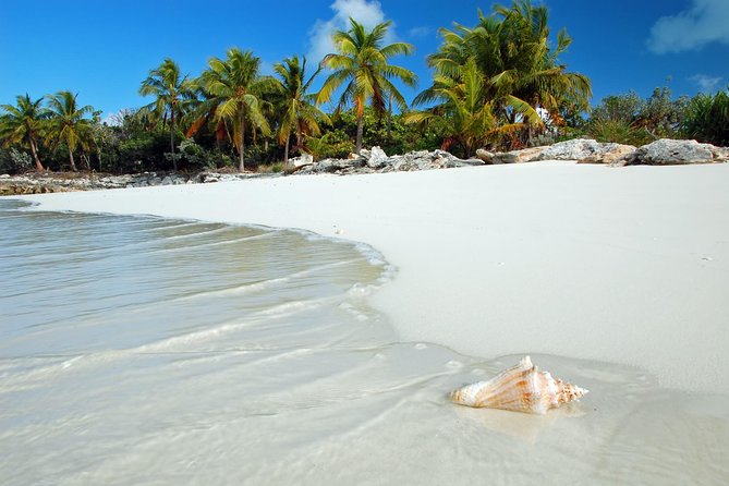 Day Trip to Bimini, Bahamas - Ferry Tickets - Day Pass Add-Ons: The $30 Resort World Option