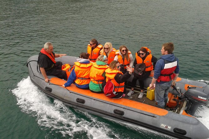 Dingle to Blasket Island Ferry - Dingle Boat Tours: what the day feels like from start to finish