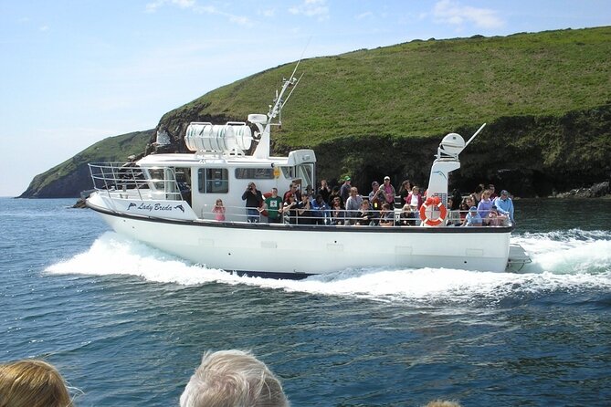 Dingle to Blasket Island Ferry - Who should book this ferry (and who might want a different plan)