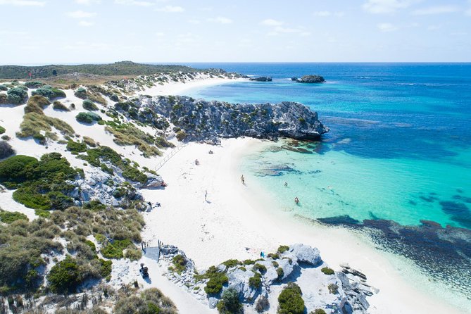 Discover Rottnest with Ferry & Bus Tour - Key points before you go