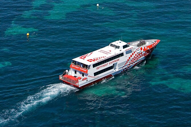 Discover Rottnest with Ferry & Bus Tour - Thompson Bay Free Time: Use It for Bikes, Snorkel Gear, or Slow Walks