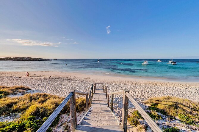 Discover Rottnest with Ferry & Bus Tour - Who This Day Trip Suits Best