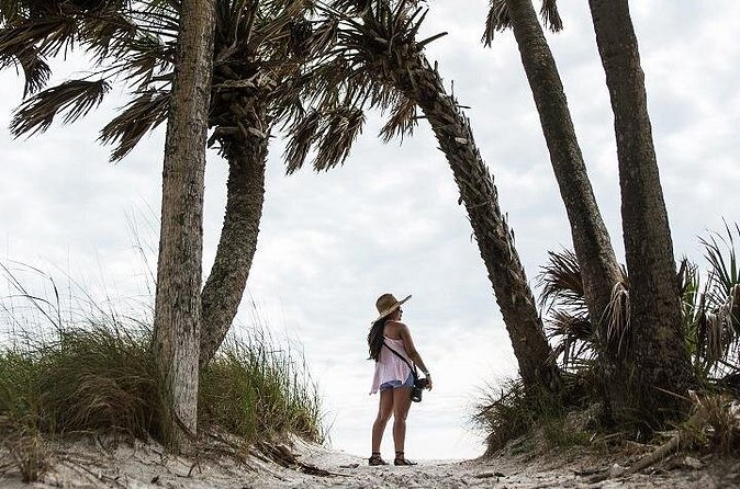 Egmont Key Ferry from Ft. DeSoto Park - Price and Value: Why About $49.95 Works for This Kind of Trip