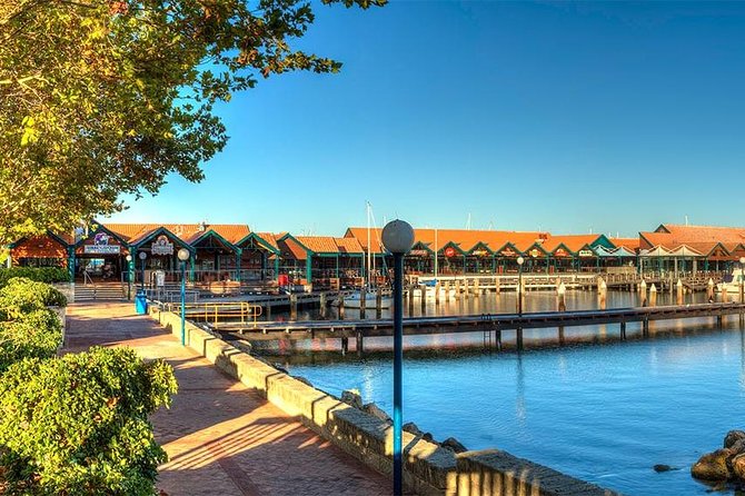 Experience Rottnest with Ferry & Bike Hire - Bike hire: helmet rules, hills, and the smart pre-ride check