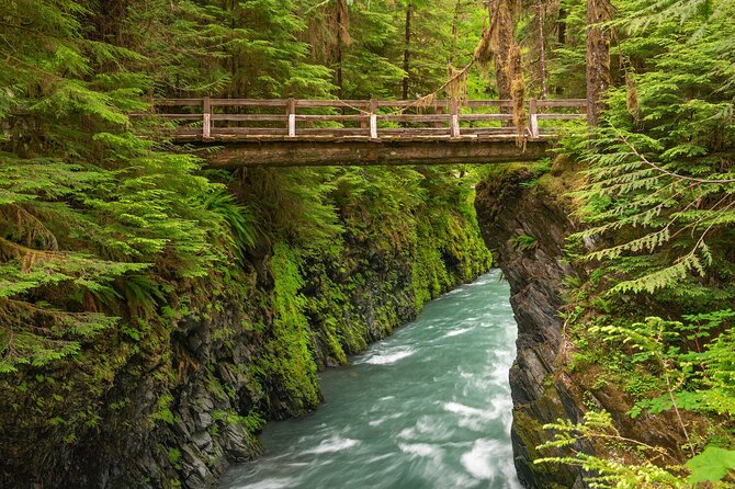 Explore Olympic National Park from Seattle through Van /Ferry - Marymere Falls hike: the payoff walk