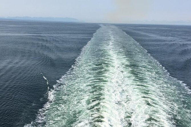 Explore Olympic National Park from Seattle through Van /Ferry - Price and value: what $335 buys you (and what to watch)
