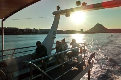 Ferry Minicruise between Dénia and Jávea Round Trip - Time on the water: fitting 50 minutes to 1 hour 40 into your day