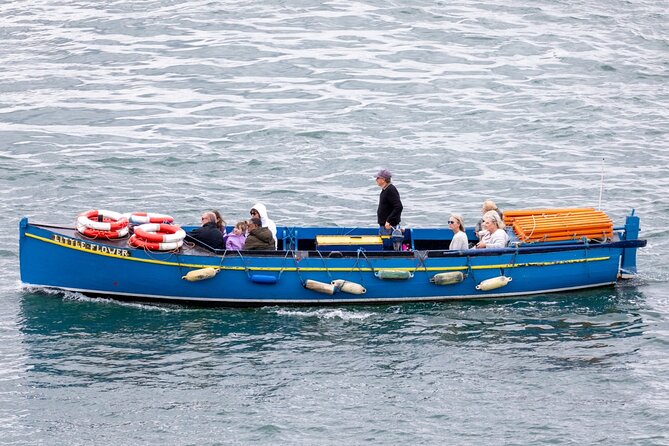 Ferry to Ireland's Eye in Howth - Price and value: $36.20 for a return ferry, plus a real nature payoff