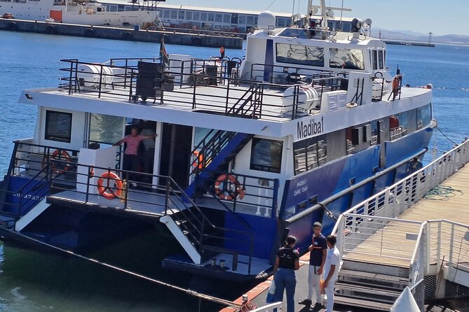 Ferry Tour to Robben Island Museum with One Way Hotel Transfer - Maximum-security prison tour: where the guide’s stories do the heavy lifting
