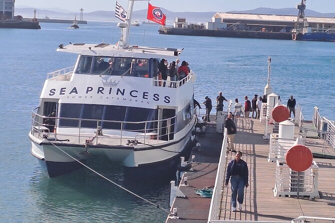 Ferry Tour to Robben Island Museum with One Way Hotel Transfer - Mandela’s cell and the island walk: the quiet part you shouldn’t skip