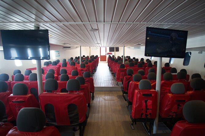 Ferry Transfer from Krabi Klong Jilad Pier to Phi Phi Tonsai - Who should book this Krabi to Phi Phi ferry?