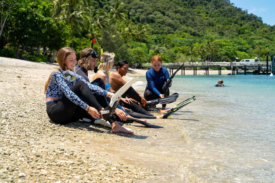 Fitzroy Island: Full-Day Ferry & Snorkel Safari Guided Tour - Who This Tour Fits Best (and Who Should Reconsider)