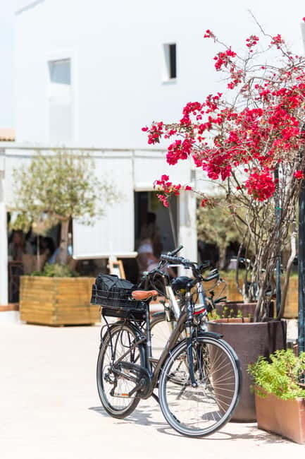 Formentera: discover our fast ferry + bike package - Key highlights you’ll care about