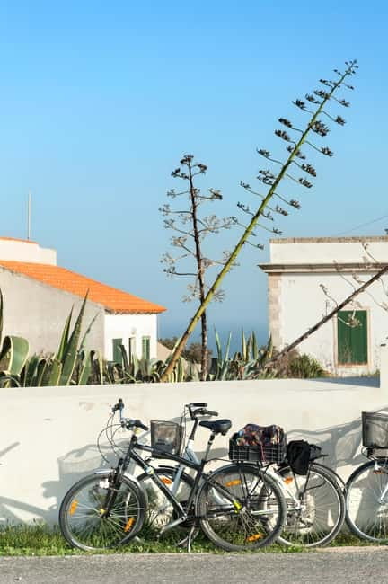 Formentera: discover our fast ferry + bike package - Getting to Formentera: Ibiza to La Savina in About 30 Minutes