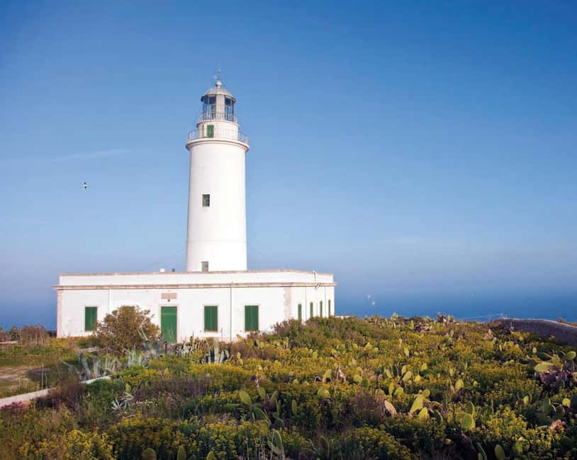 Formentera: discover our fast ferry + electric bike package. - Key Highlights to Know Before You Go