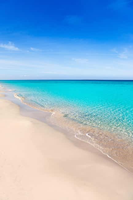Formentera: discover our fast ferry + electric bike package. - Posidonia oceanica: Why This Small Donation Feels Real