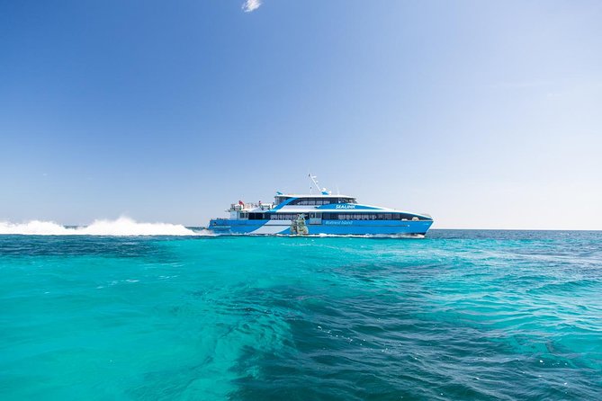 Fremantle to Rottnest Island Roundtrip Ferry Ticket - Price and value: what your $62.04 ticket really covers