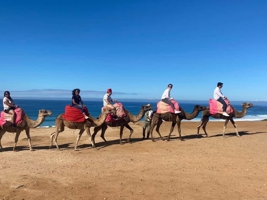 From Cádiz Bay: Tangier Day Trip with Ferry & Local Guide - Quick Key Points You Can Use Right Away