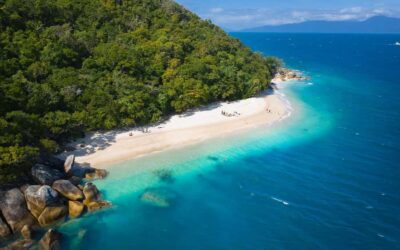 From Cairns: Fitzroy Island Day Trip by Ferry - The Fitzroy Flyer Ferry Ride: Fast, Scenic, and Plan for Motion