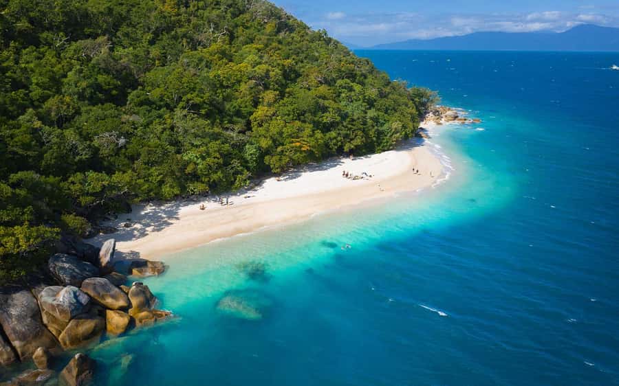From Cairns: Fitzroy Island Day Trip by Ferry - The Fitzroy Flyer Ferry Ride: Fast, Scenic, and Plan for Motion
