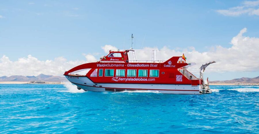 From Caleta de Fuste: Return Bus and Ferry to Lobos Island - Key points worth knowing
