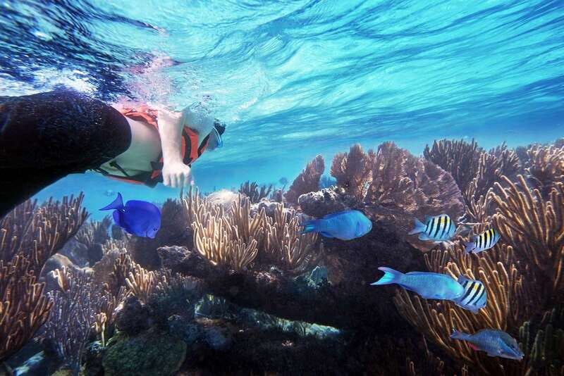 From Cancun: Garrafon Reef Park Admission with Ferry Tickets - How the private ferry from Cancun sets the tone
