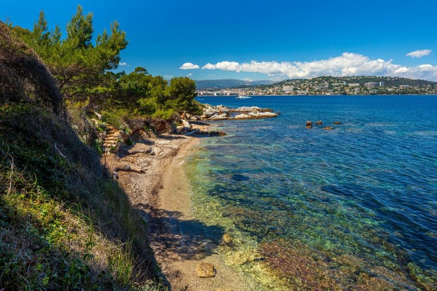 From Cannes: Round-Trip Ferry to Ste. Marguerite Island - Batéguier Pond and Pointe de la Convention: Birds and Plants on the Route