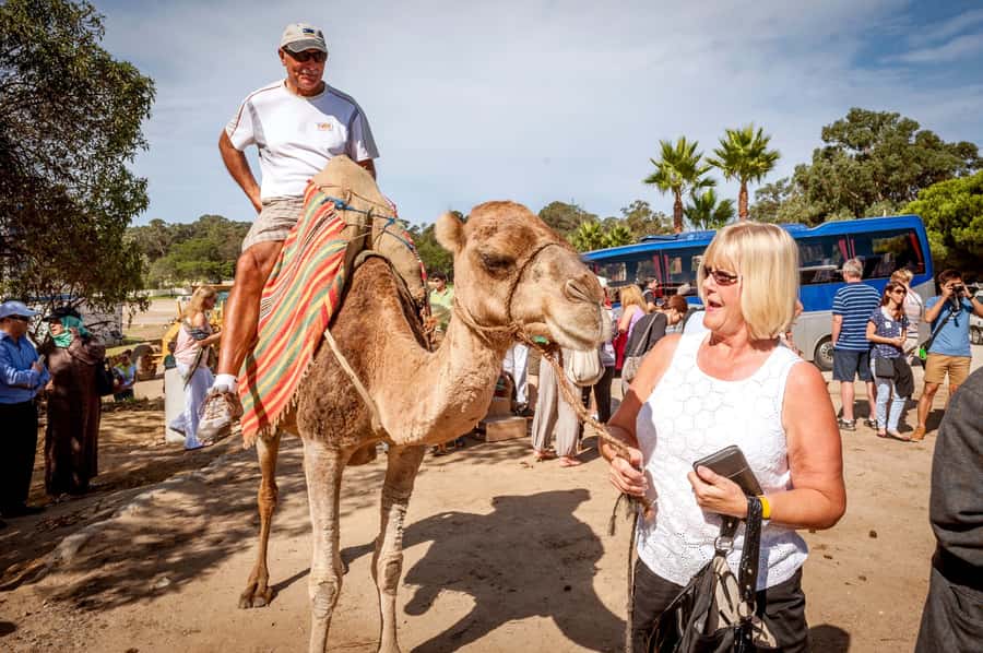 From Costa del Sol: Tangier Full-Day Tour by Ferry - From Costa del Sol to Tarifa: the coach ride that starts the day