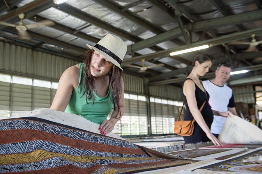 From Darwin: Tiwi By Design Tour by Ferry - Key moments you’ll remember