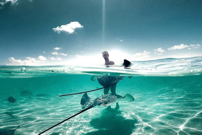 FROM FLORIDA: Bahamas Day Escape By Ferry - Your island afternoon in Bimini or Grand Bahama: what you can actually do