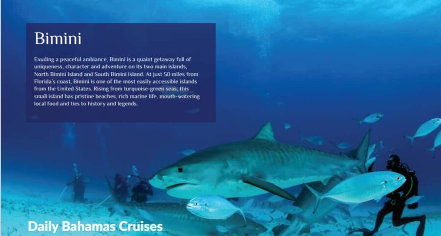 From Fort Lauderdale: Bimini Island Day Trip by Ferry - Optional adventures: snorkeling, parasailing, jet skiing (and choosing one)