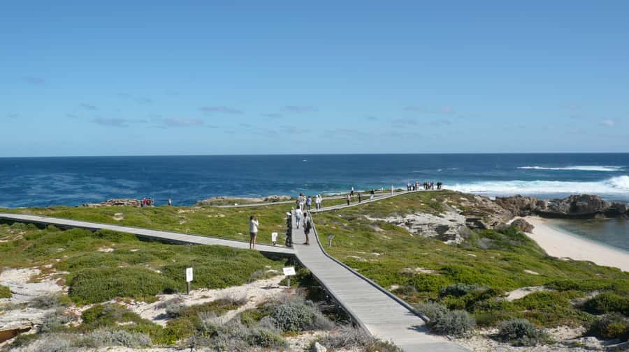 From Fremantle: Rottnest Island Ferry & Bus Day Tour - Key highlights at a glance