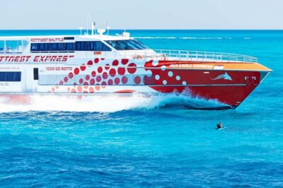 From Fremantle: Rottnest Island Ferry & Bus Day Tour - The 90-minute Discovery Coach Tour: see the whole island without overheating