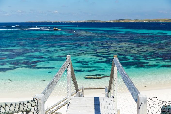 From Fremantle: Rottnest Island Ferry & Bus Day Tour - Wadjemup Lighthouse and island viewpoints you’ll remember