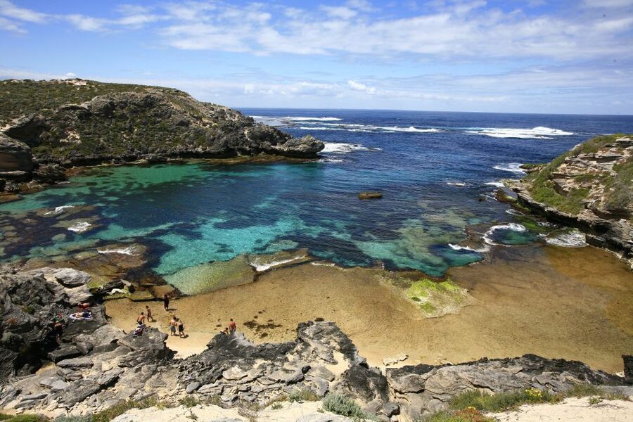 From Fremantle: Rottnest Island Ferry & Bus Day Tour - When this day trip is a great fit (and when it isn’t)