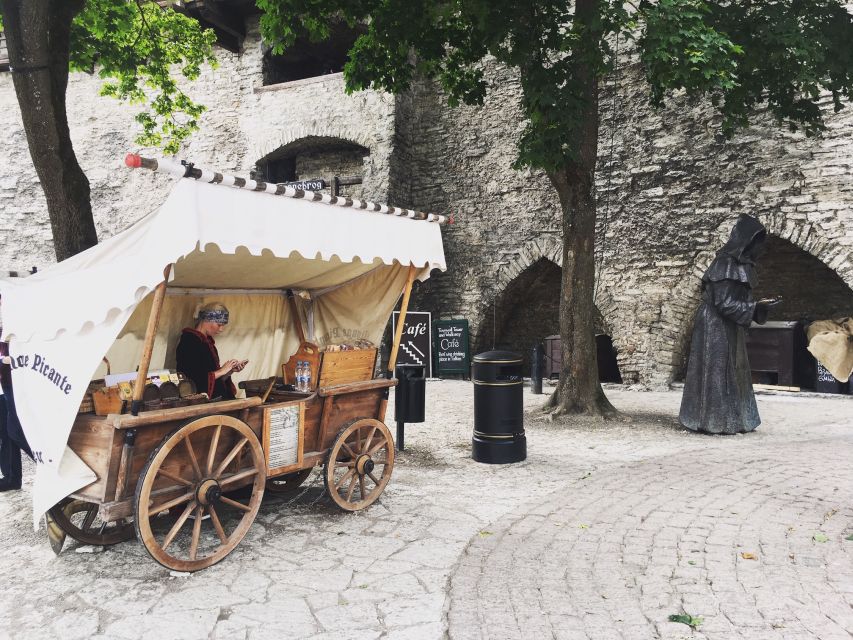 From Helsinki: Tallinn with Round-Trip Ferry & Guided Tour - Ferry time between Helsinki and Tallinn: plan your comfort like a pro