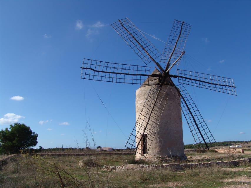 From Ibiza: Ferry and Guided Bus Excursion in Formentera - Guides, Crowds, and the Comfort Factor on This Kind of Tour