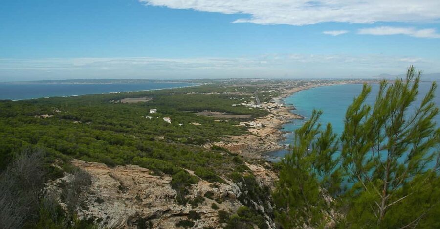 From Ibiza: Ferry and Guided Bus Excursion in Formentera - The Ferry Crossing: Short Enough to Enjoy, Long Enough to Feel Like a Change