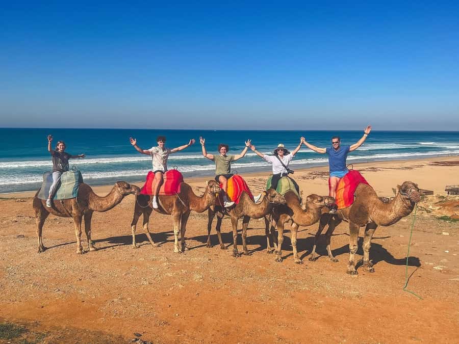 From Malaga: Tangier Day Trip with Ferry, Camel & Souks - Why a Tangier day trip makes sense from Malaga