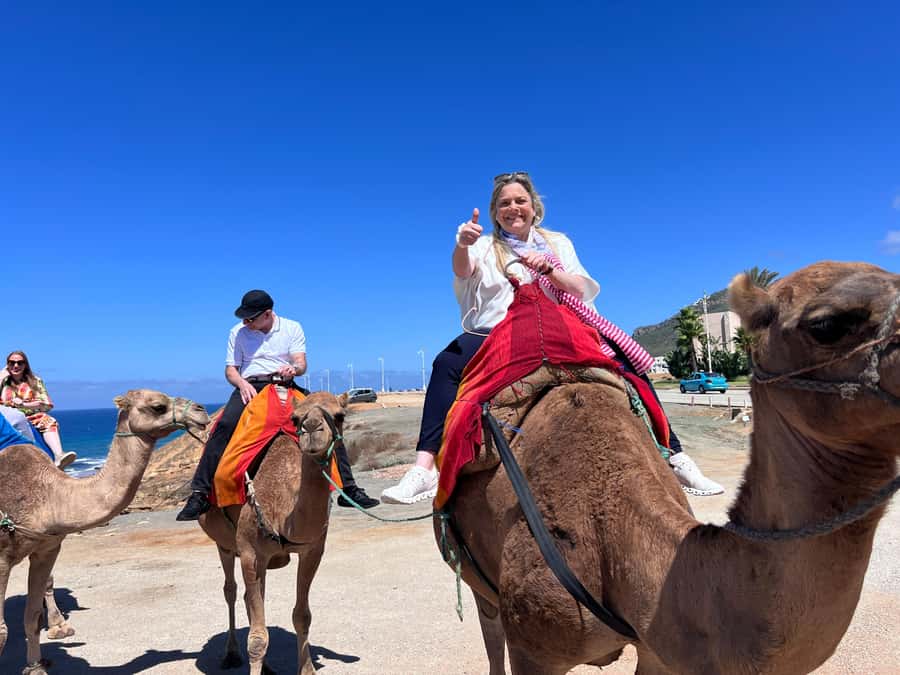 From Malaga: Tangier Day Trip with Ferry, Camel & Souks - Medina and the souks: where specialty shopping actually makes sense