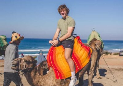 From Marbella: Tangier Day Trip with Ferry, Camel & Souks - Arrival in Tangier: A Guided Start That Keeps You From Getting Lost