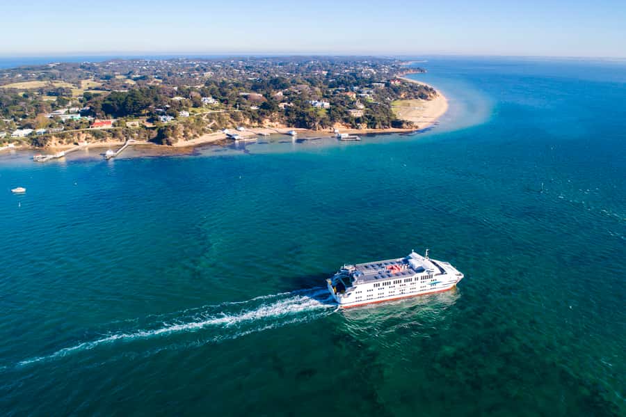 From Melbourne: Bay Sightseeing and Ferry Ride with Lunch - Key Takeaways Before You Go