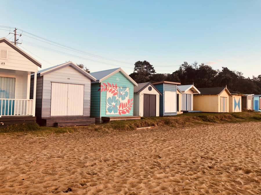 From Melbourne: Bay Sightseeing and Ferry Ride with Lunch - Portsea Surf Beach and London Arch: Coast Views You Can’t Get From Town